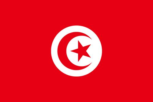 tunisia-flag-small.jpg